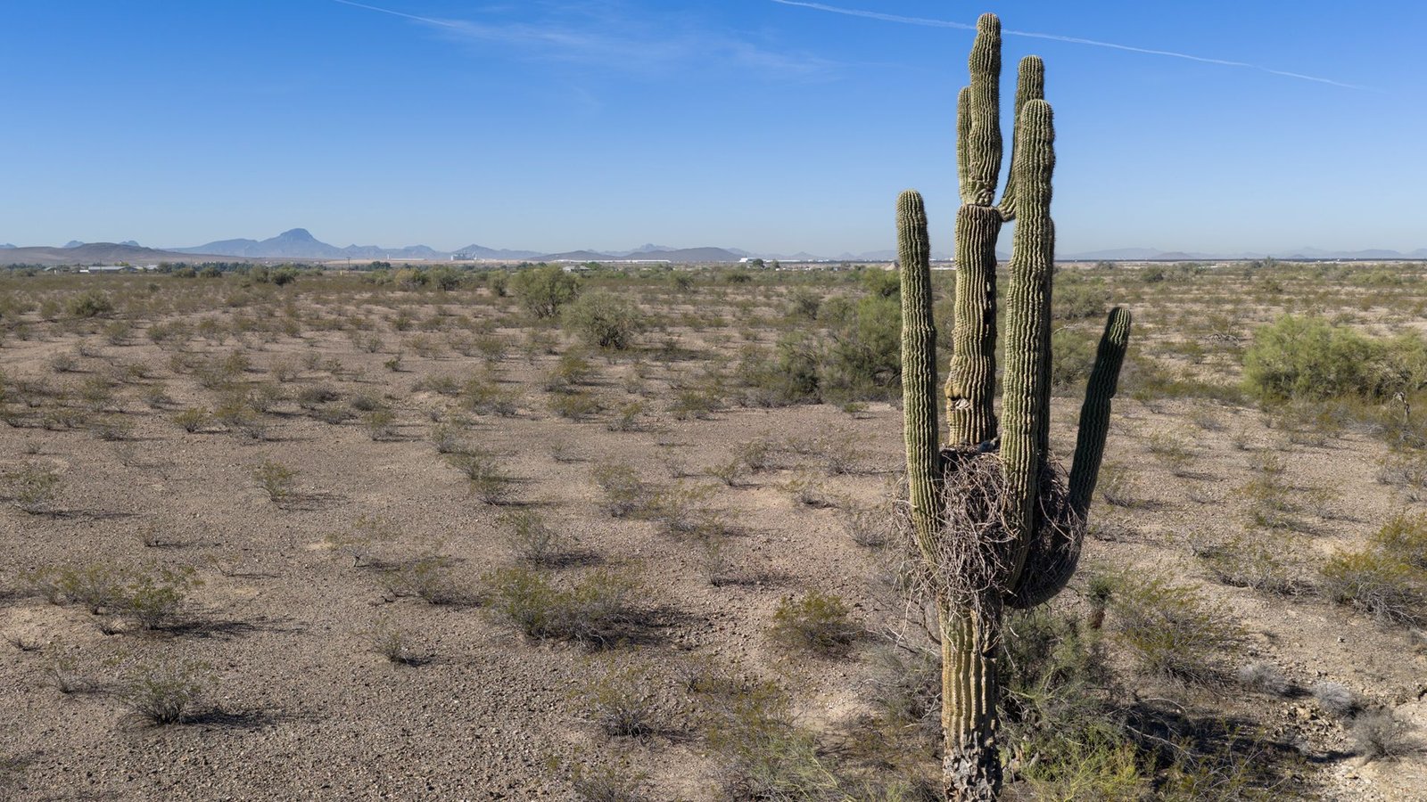 US suffers hottest March day ever recorded